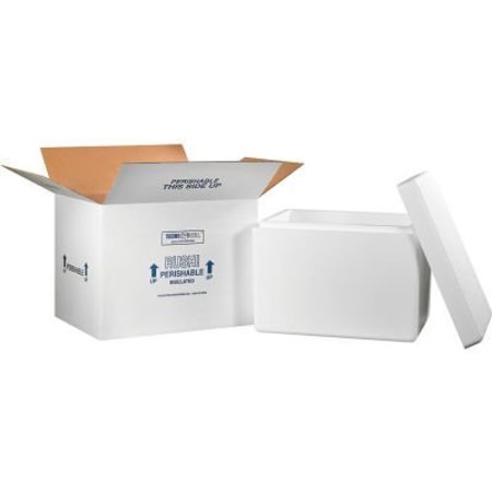 THE PACKAGING WHOLESALERS Foam Insulated Shipping Kit, 21-1/4"L x 15-1/2"W x 15-1/2"H, White 269C